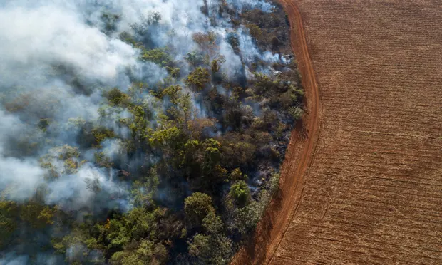 Deforestation has big impact on regional temperatures, study of Brazilian Amazon shows