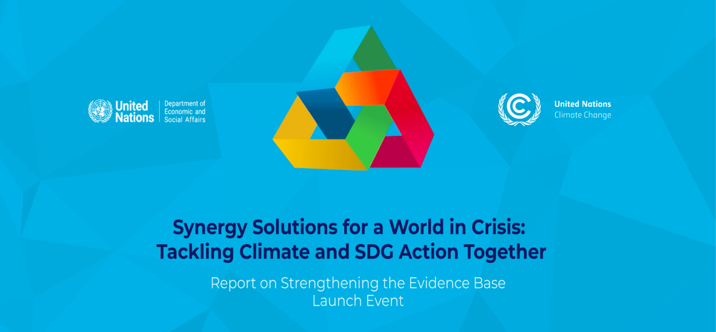 Governments must seek win-win synergies by tackling climate and sustainable development crises together, urges expert group report