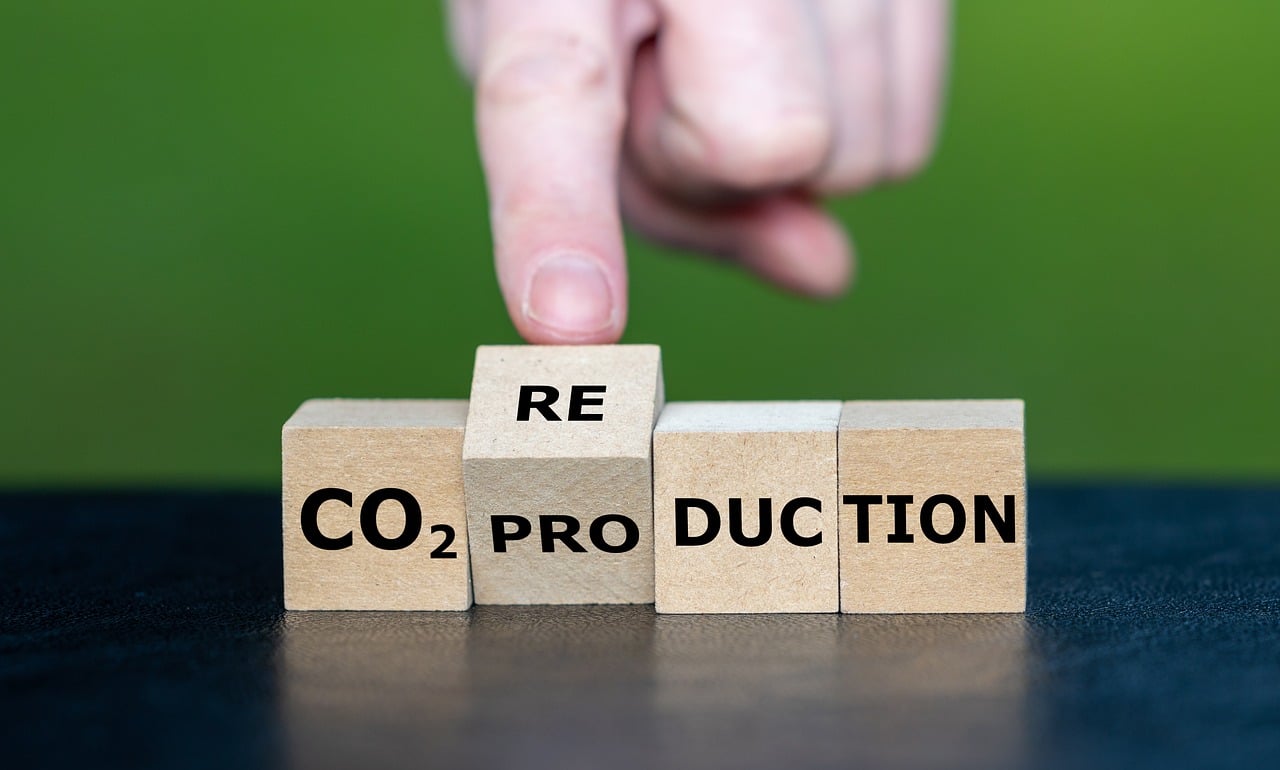 Everything you need to know about Voluntary Carbon Market