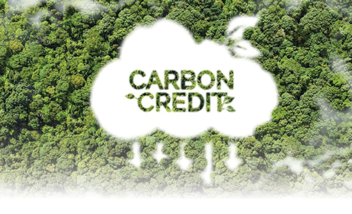 Reducing the Carbon Footprint in Agriculture: Businesses Under Double Pressure